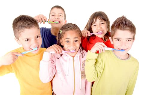  So ensure you brush their coat often and do some other grooming practices like teeth brushing, regular baths, and others